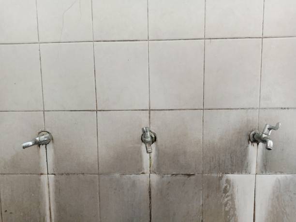 Best Local water damage restoration  in Eielson Af, AK