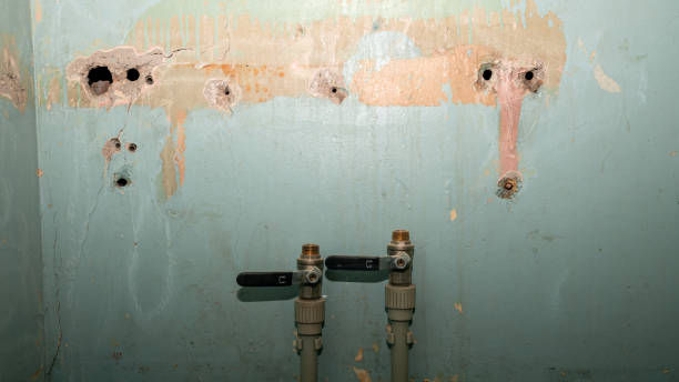Best Residential water damage restoration  in Eielson Af, AK